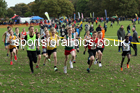 Boys under-13s Northern Cross Country Relays, Graves Park, Sheffield. Photo: David T. Hewitson/Sports for All Pics